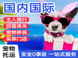 百色机场空运国际宠物托运 【国